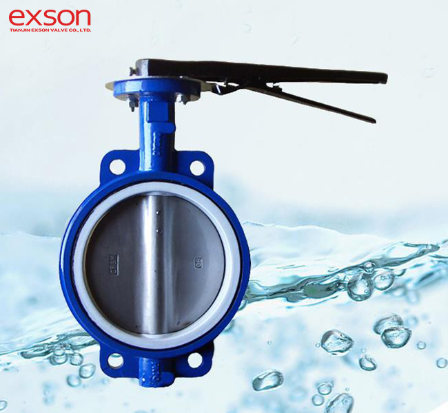 API Butterfly Valve